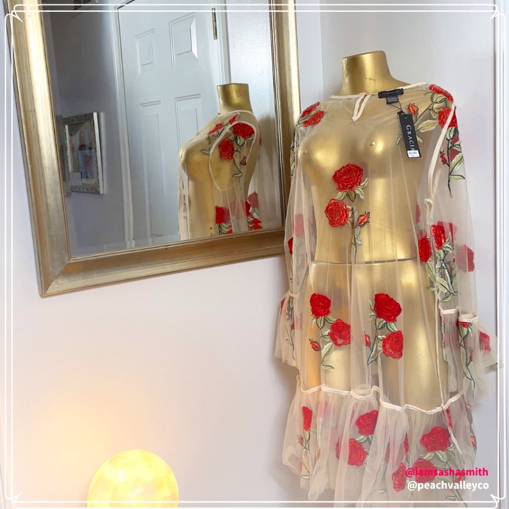 Floral Embroidery Sheer Mesh 3/4 Sleeve Dress
